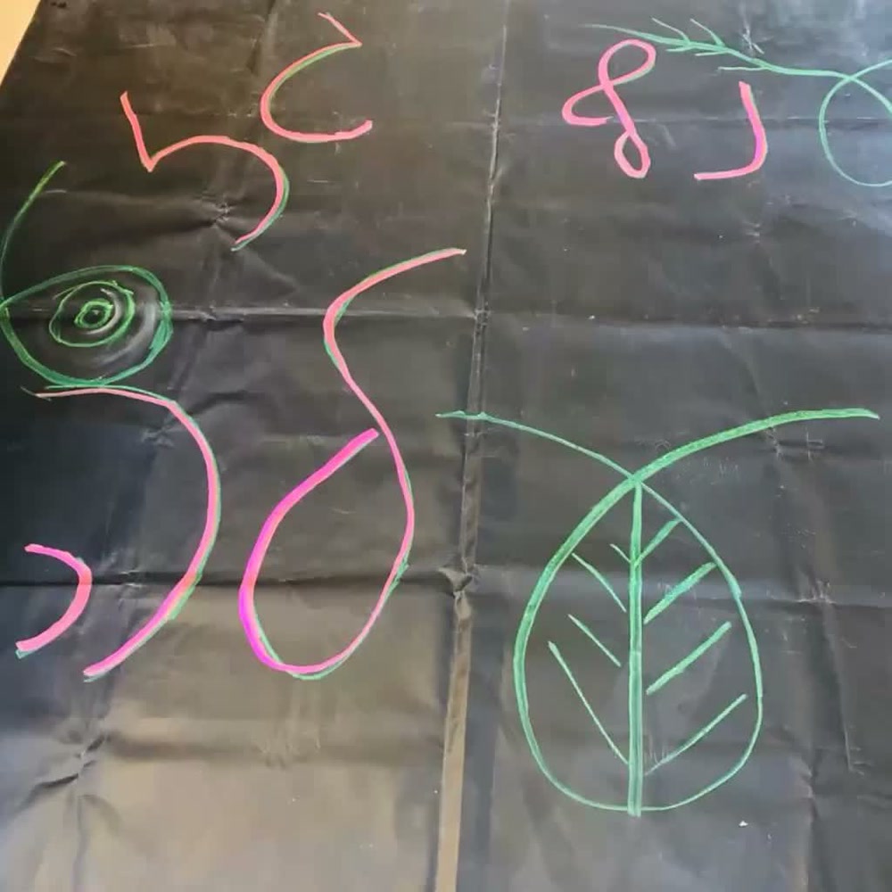 מתוך הוובינר שפת הסמלול: מילים וסמלים מצוירים בגיר
